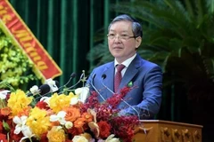 越共中央委员、越南农民协会中央委员会主席梁国团。（图片来源：越通社）