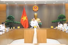 越南政府副总理黎进珠主持召开全面排查工作情况汇报会。（图片来源：越南人民报网）