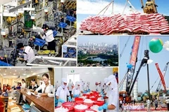 附图。（图片来源：人民军队报网）