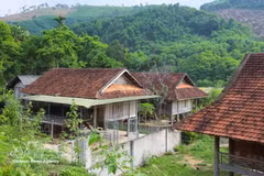 在当今钢筋混凝土建筑日益普及的时代，难能可贵的是，当地泰族群众仍坚持使用木材兴建新的高脚屋，而非改建为现代砖混房屋。（图片来源：越通社）