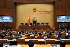 第十六届国会任期：越南政府组织结构【图表新闻】