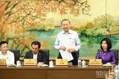 越共中央总书记、国家主席苏林同河内市国会代表进行分组讨论。（维灵 摄）