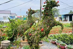 马形造型盆景深受消费者青睐。