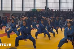 越武道表演节目。（图片来源：越通社）