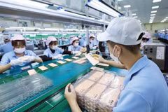 附图。（图片来源：越南财政时报）