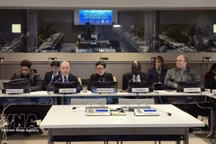 越南常驻联合国代表团临时代办、公使阮黄原在会上致辞。（图片来源：越通社）