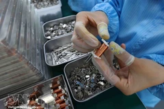 附图。（图片来源：越通社）