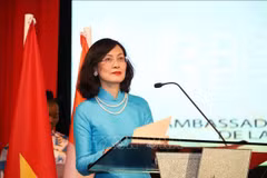 越南驻摩洛哥特命全权大使黎金龟。（图片来源：越通社）