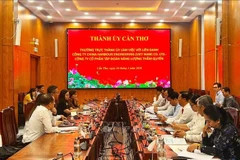 工作会谈现场。（图片来源：越通社） 