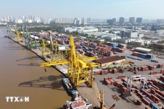 西贡港股份公司的新顺港。（图片来源：越通社）