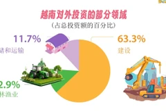 2026年1月份越南对外投资额达2.383亿美元【图表新闻】