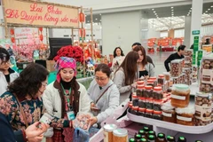 游客在春季博览会上参观和购物产品。（图片来源：越通社）