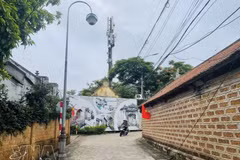 唐林古村的巷道。（图片来源：越通社）