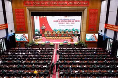 越南退伍军人协会第八次全国代表大会今天上午在河内市开幕。（图片来源：越通社）
