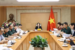 越共中央书记处书记、政府副总理、国家烈士遗骸搜寻、归集和身份确认工作指导委员会（国家515指导委员会）主任范氏清茶主持会议。（图片来源：政府网）