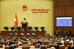 越南第十五届国会第十次会议12月5日下午表决通过《司法履历法若干条款修改补充法》。（图片来源：越通社）