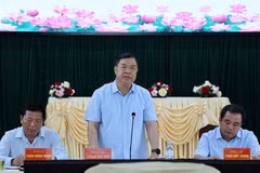 越南政府常务副总理范嘉足发表讲话。（图片来源：VGP）