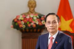越共中央政治局委员、外交部长黎怀忠。（图片来源：越南外交部）