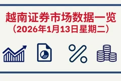 1月13日越南证券市场数据一览 【图表新闻】