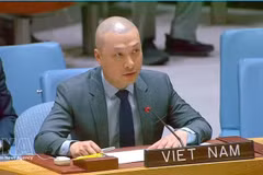 越南常驻联合国代表团副团长阮黄元公使。（图片来源：越通社）