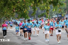 2025年VnExpress马拉松芹苴站现场。（图片来源：越通社）