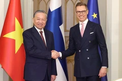 苏林总书记与斯图布总统亲切握手。（图片来源：越通社）