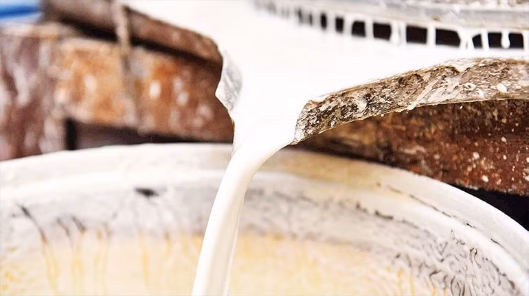 春卷皮选用精挑细选的大米研磨而成。