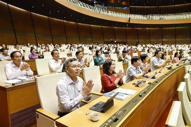 6月16日上午，出席会议的全部466名国会代表投赞成票，通过了《地方政府组织法（修正案）》。（图片来源：越通社）