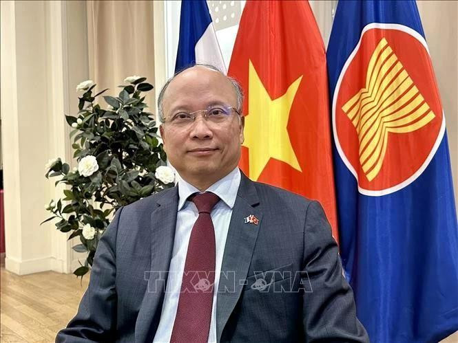 越南驻法国大使丁全胜。（图片来源：越通社）