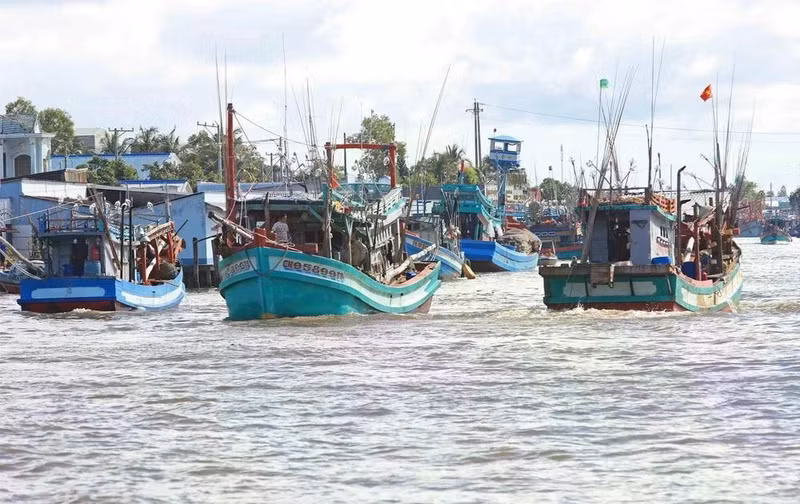 打击非法捕鱼：严格管控渔业捕捞船只。