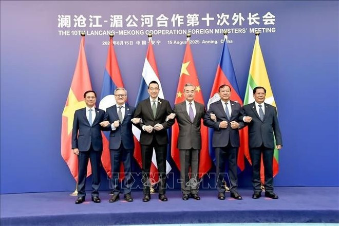出席澜沧江—湄公河合作（MLC）第十次外长会的代表合影。（图片来源：越通社）