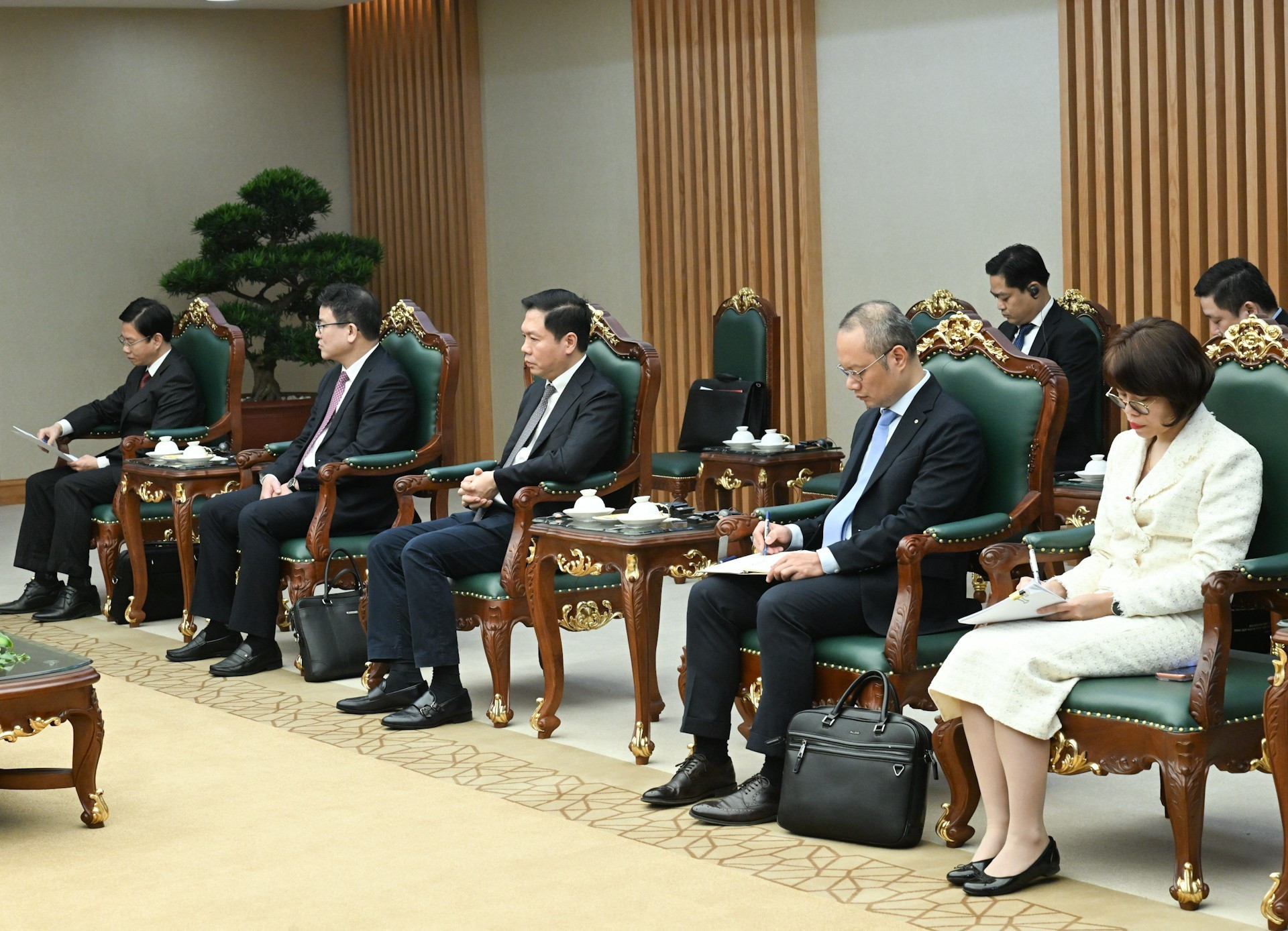 越南政府各部委行业领导代表出席会见。