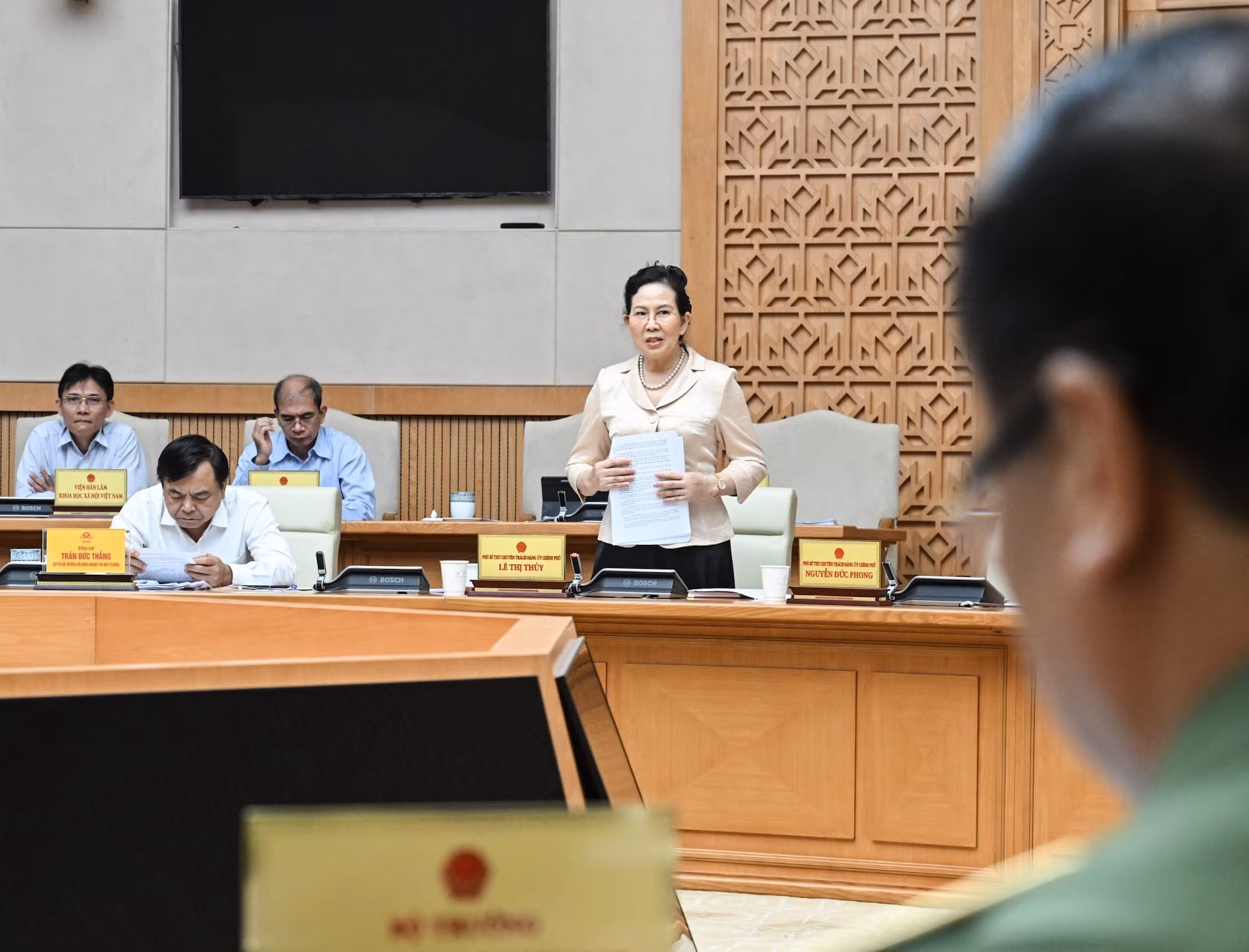 政府党委副书记黎氏水在会上发表讲话。