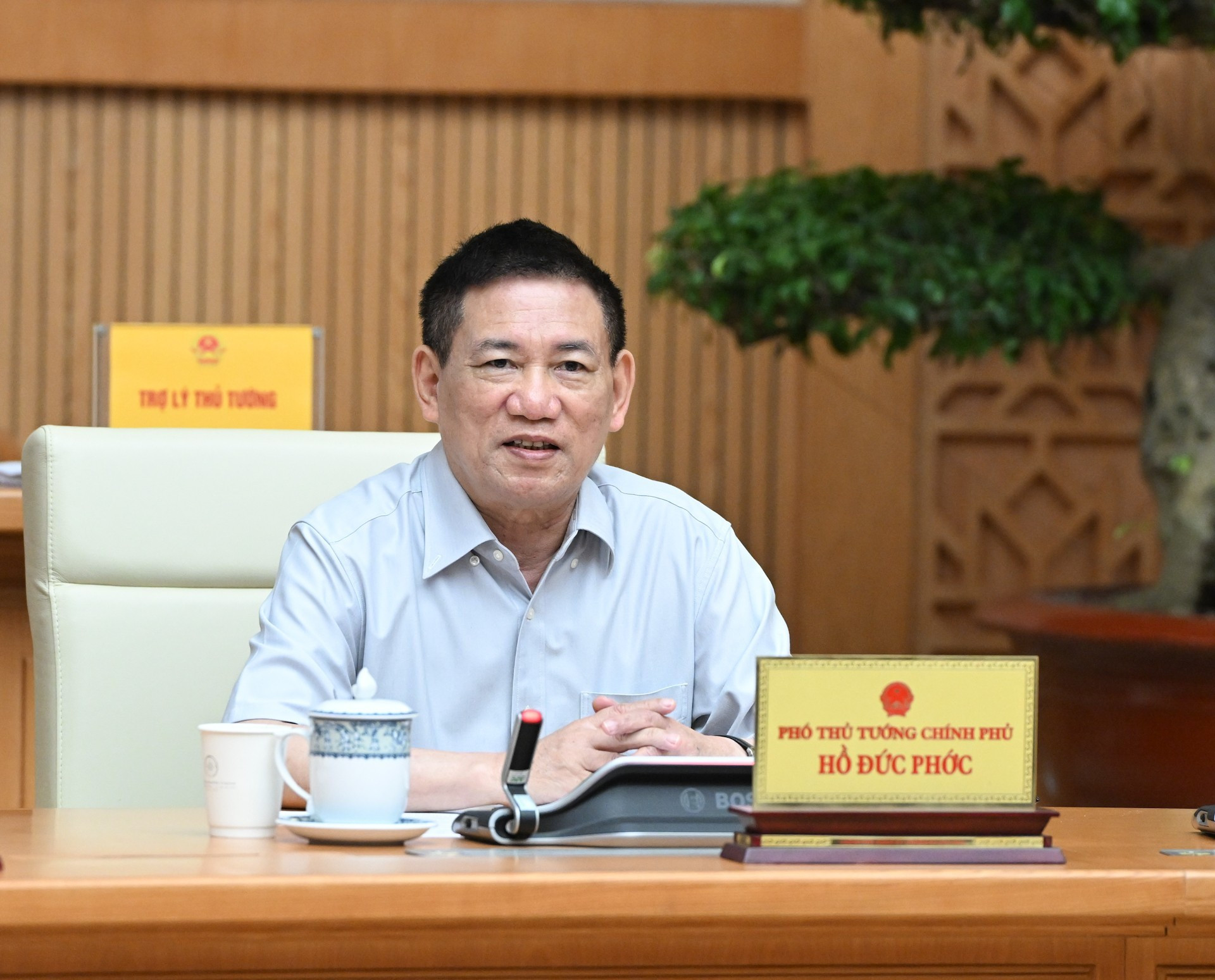 政府副总理胡德福在会上发表讲话。