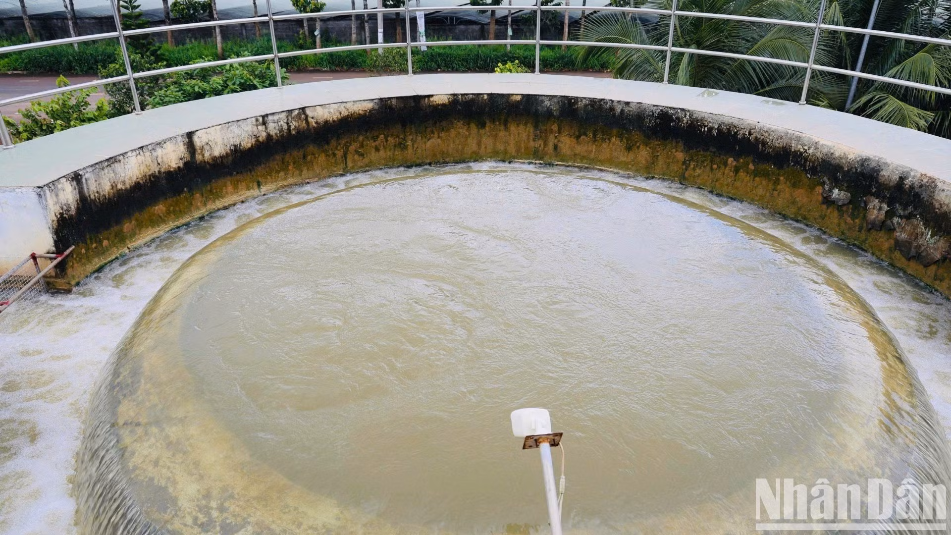 同奈省人民委员会已建议治安水电站公司进行调节，在高峰期将湖水位维持在大约52米高程，以帮助原水取水系统稳定运行，减少蓝藻侵入，并保障嘉新自来水厂的运行产能。