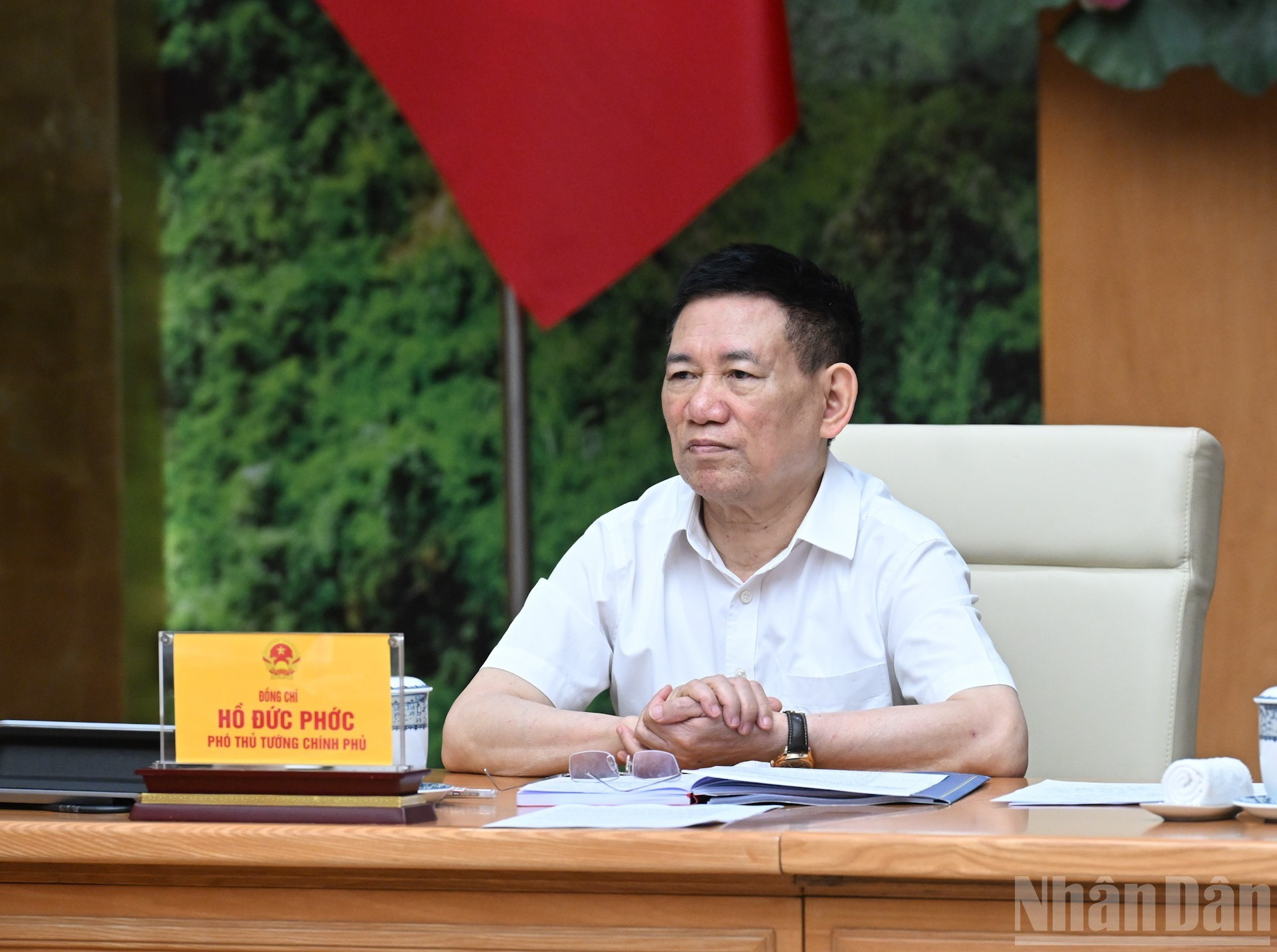 胡德福副总理在会上发表讲话。