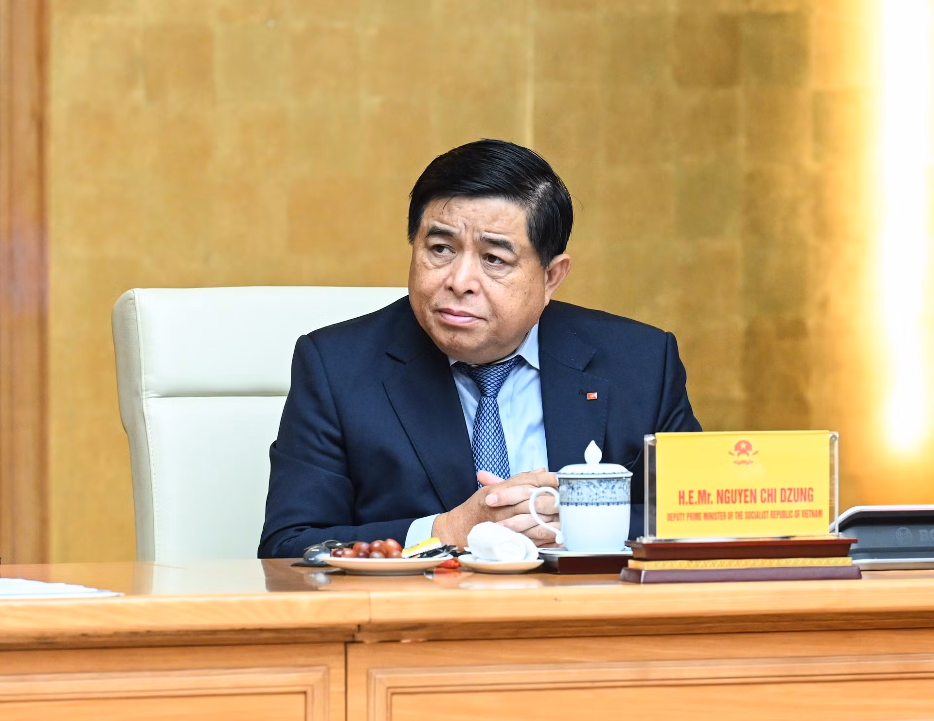 阮志勇副总理出席会见。