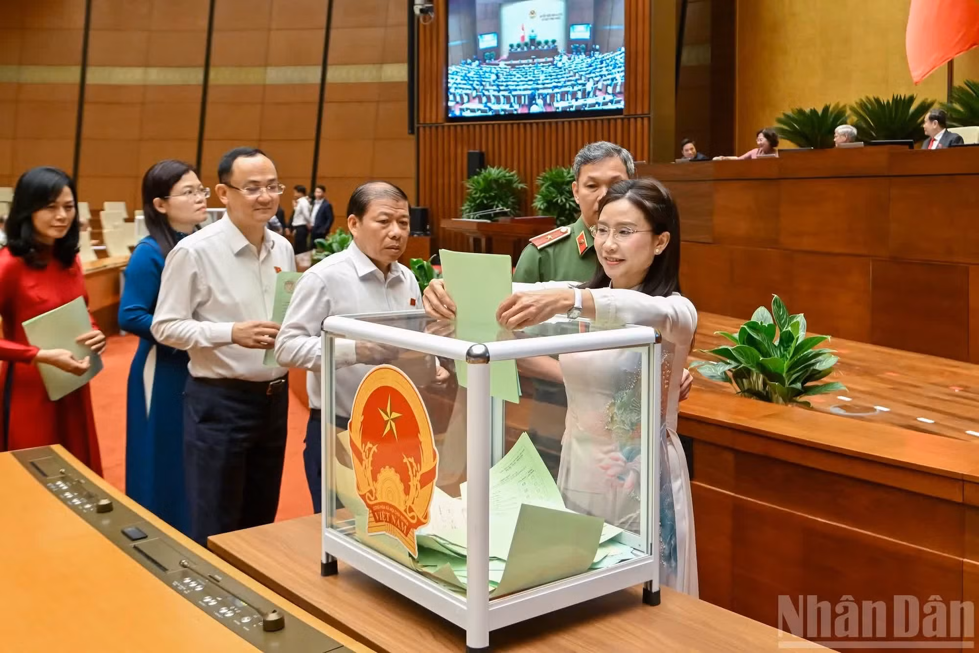 各位国会代表在会上投票。