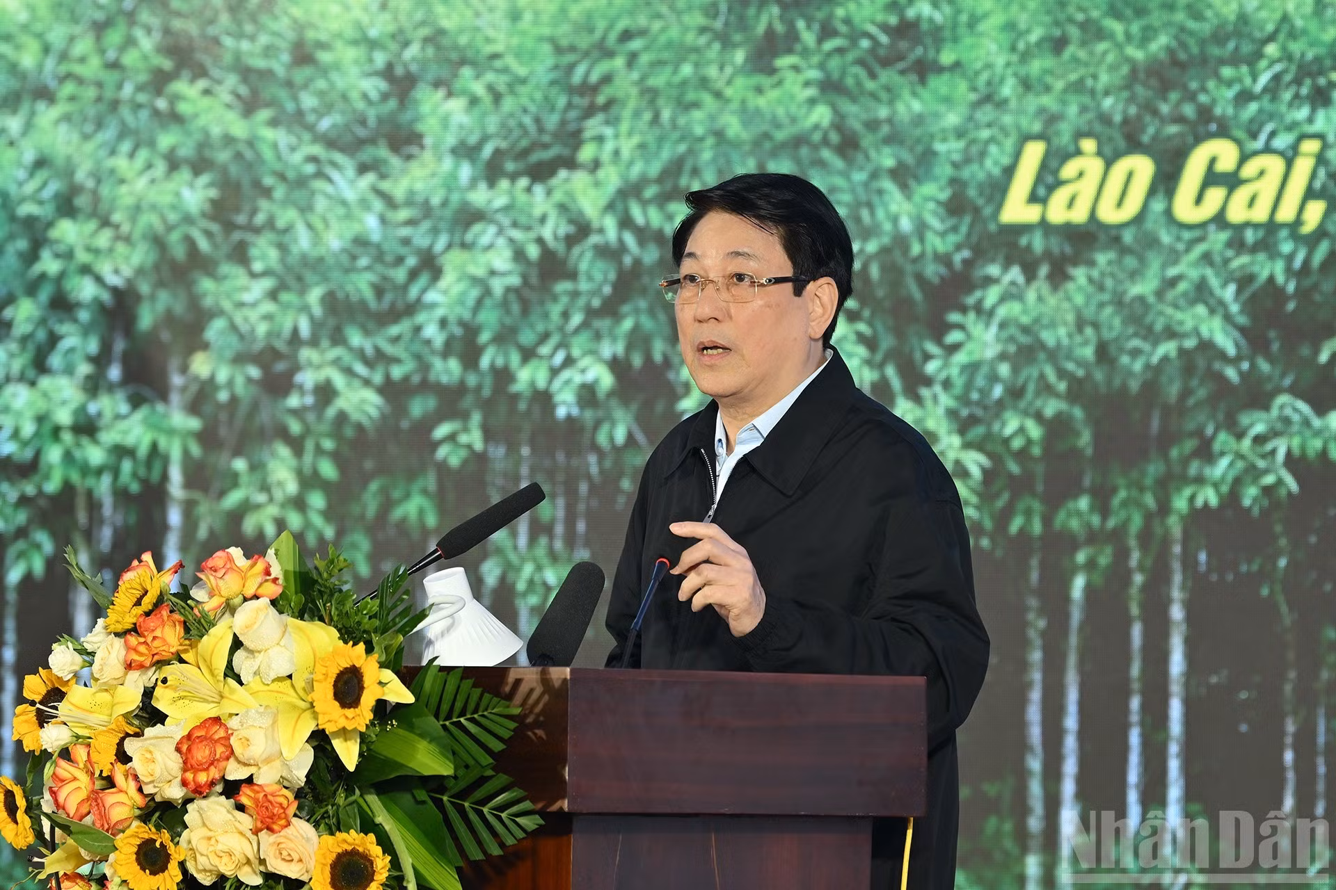 梁强主席在会上发表讲话。