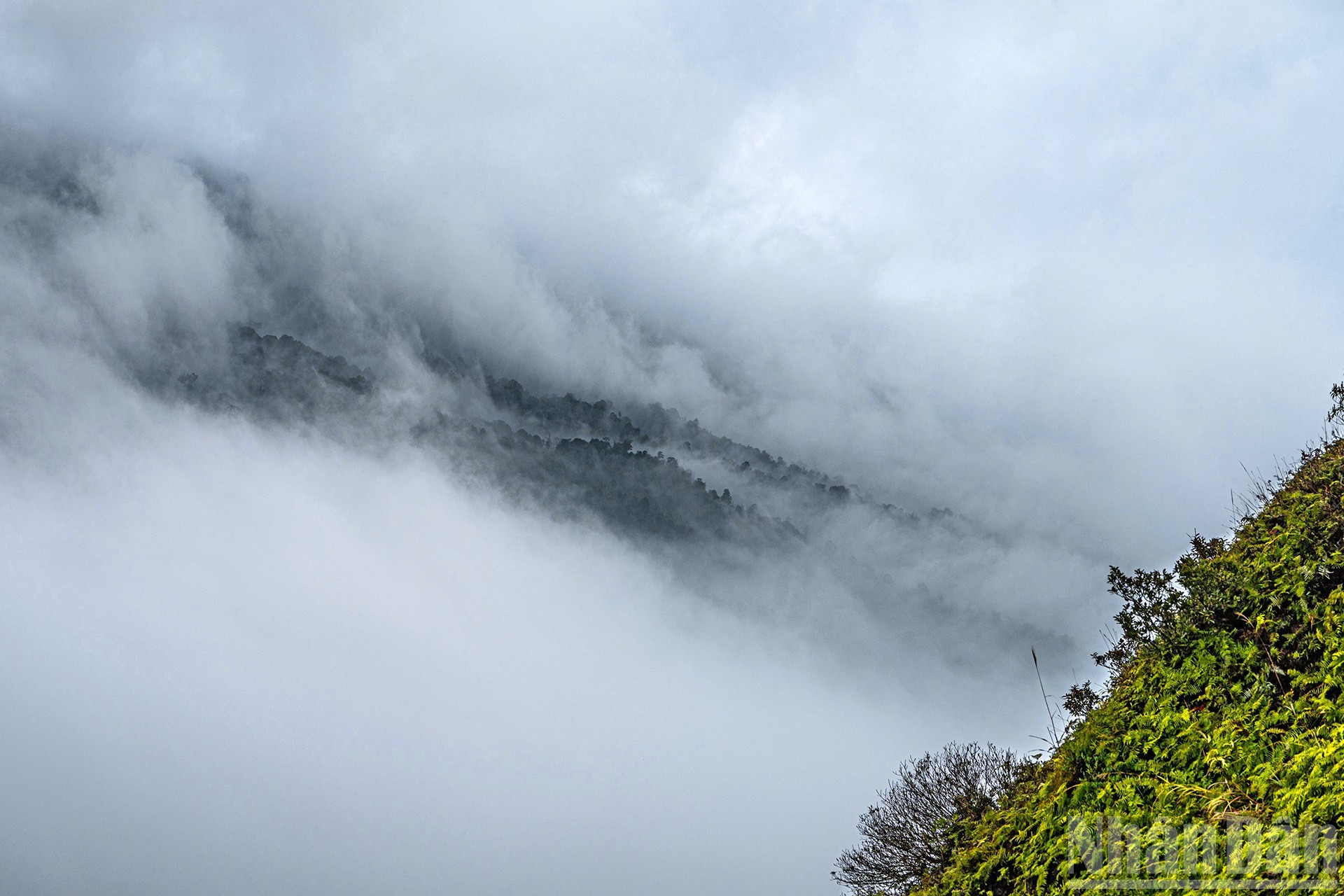 伊子的神秘云海【组图】 ảnh 9