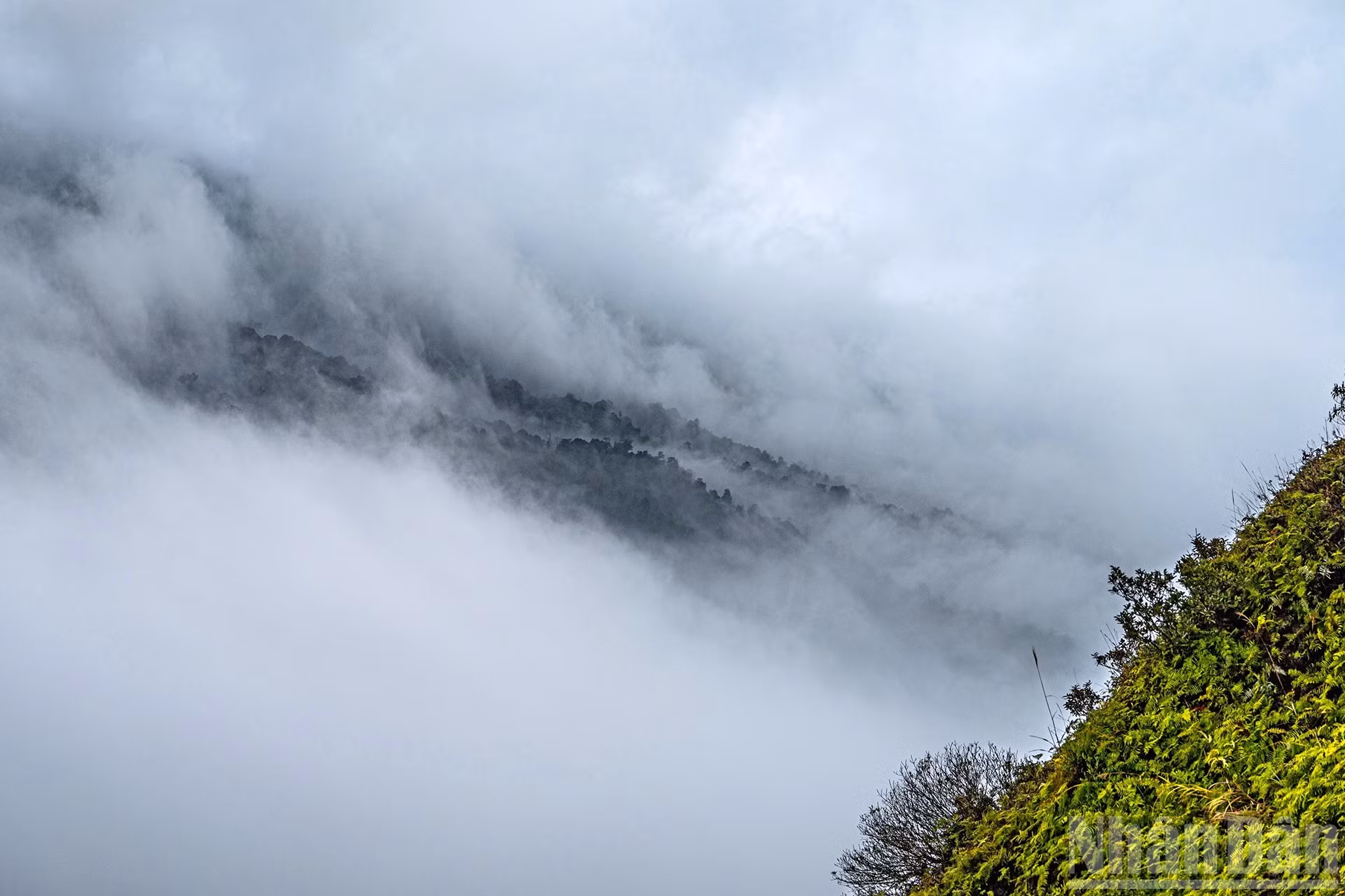 伊子的神秘云海【组图】 ảnh 9