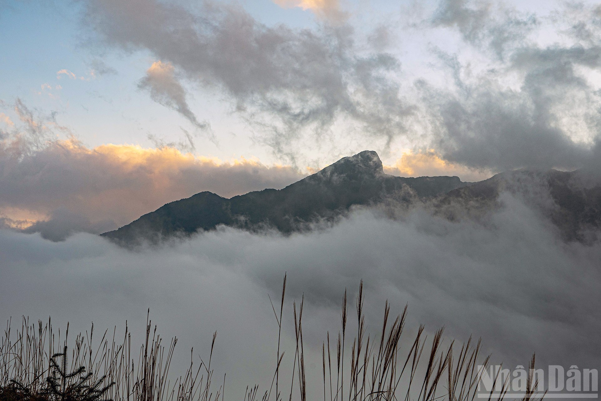 伊子的神秘云海【组图】 ảnh 10