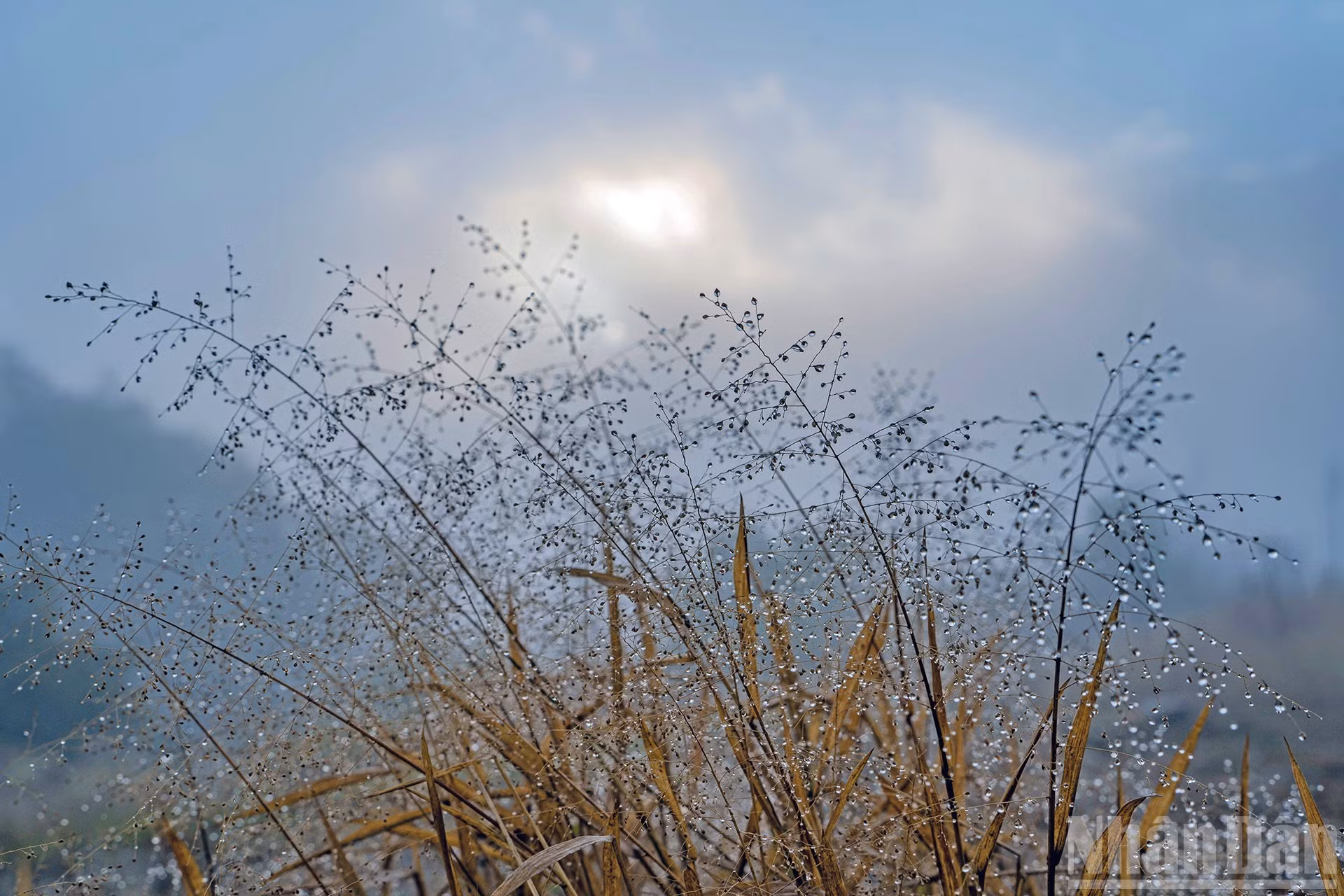 伊子的神秘云海【组图】 ảnh 12