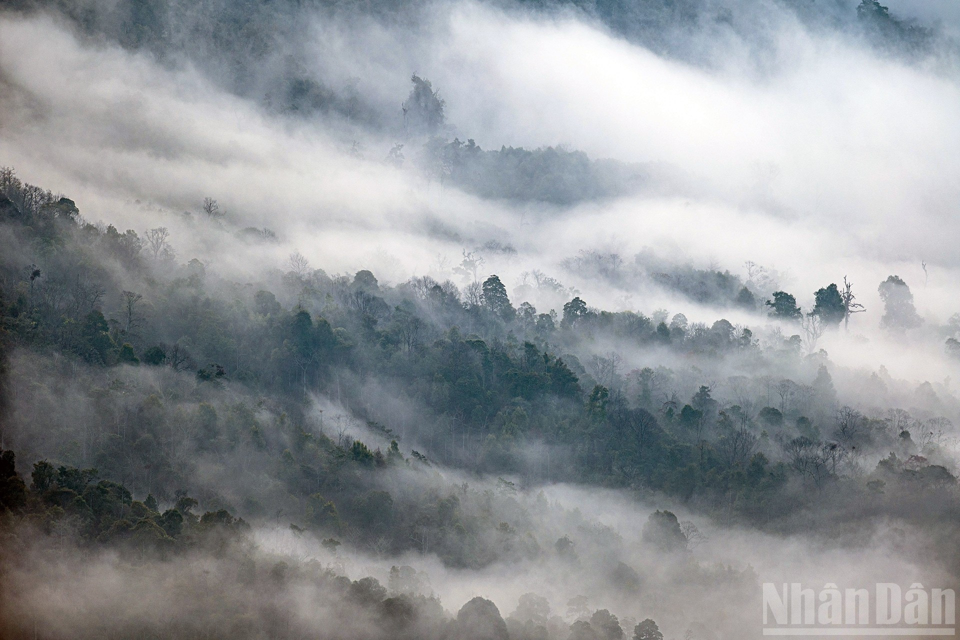 经验丰富的旅行者通常会在年底，特别是10月到12月期间前往伊子。这段时间昼夜温差较大，更容易出现“云海”现象。
