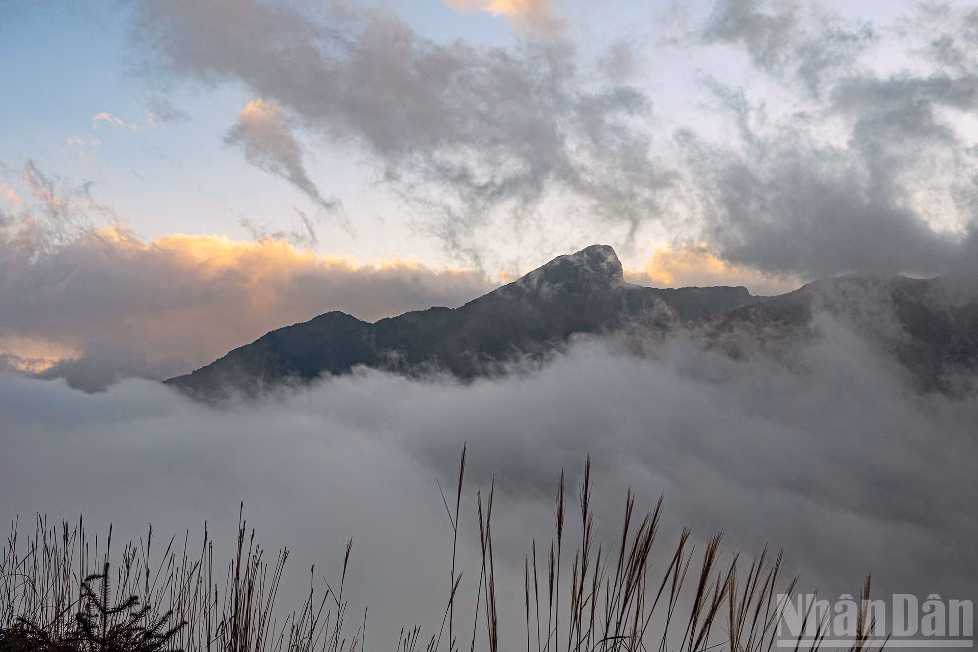 伊子的神秘云海【组图】 ảnh 10