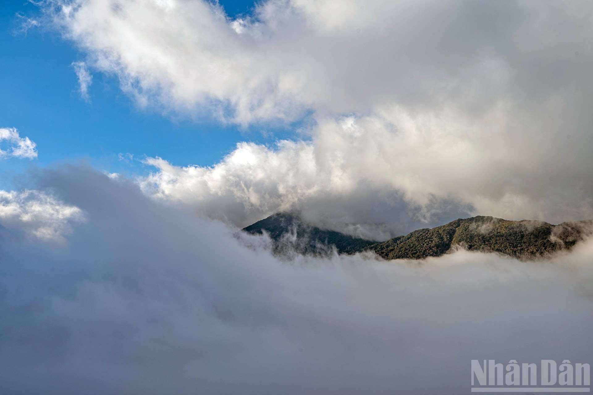 伊子的神秘云海【组图】 ảnh 15