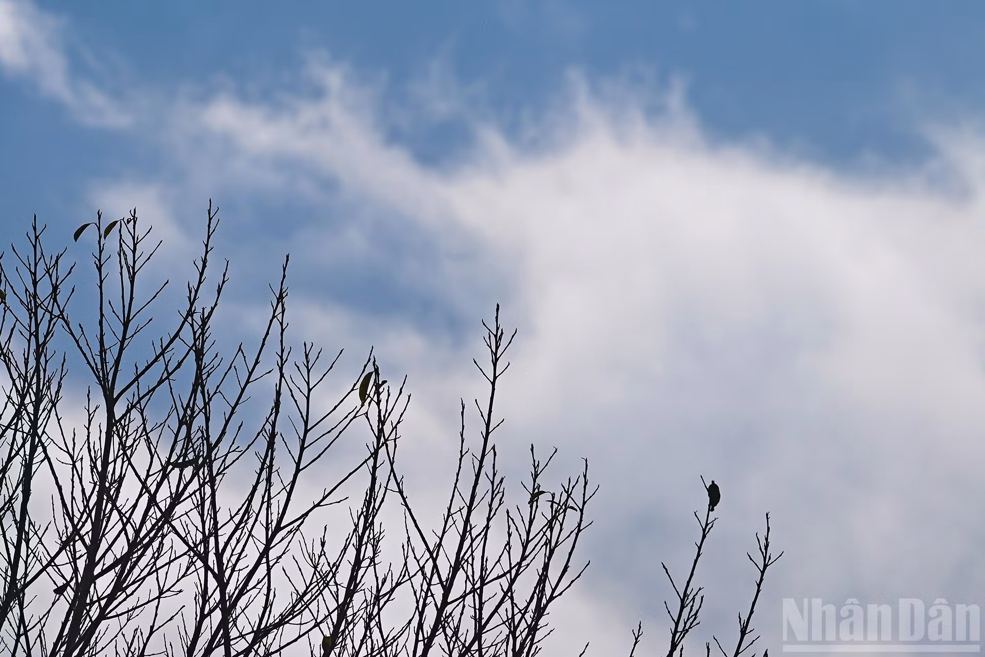 合并后，新的伊子乡的行政边界扩大了，为旅游业发展创造了明确的机遇。