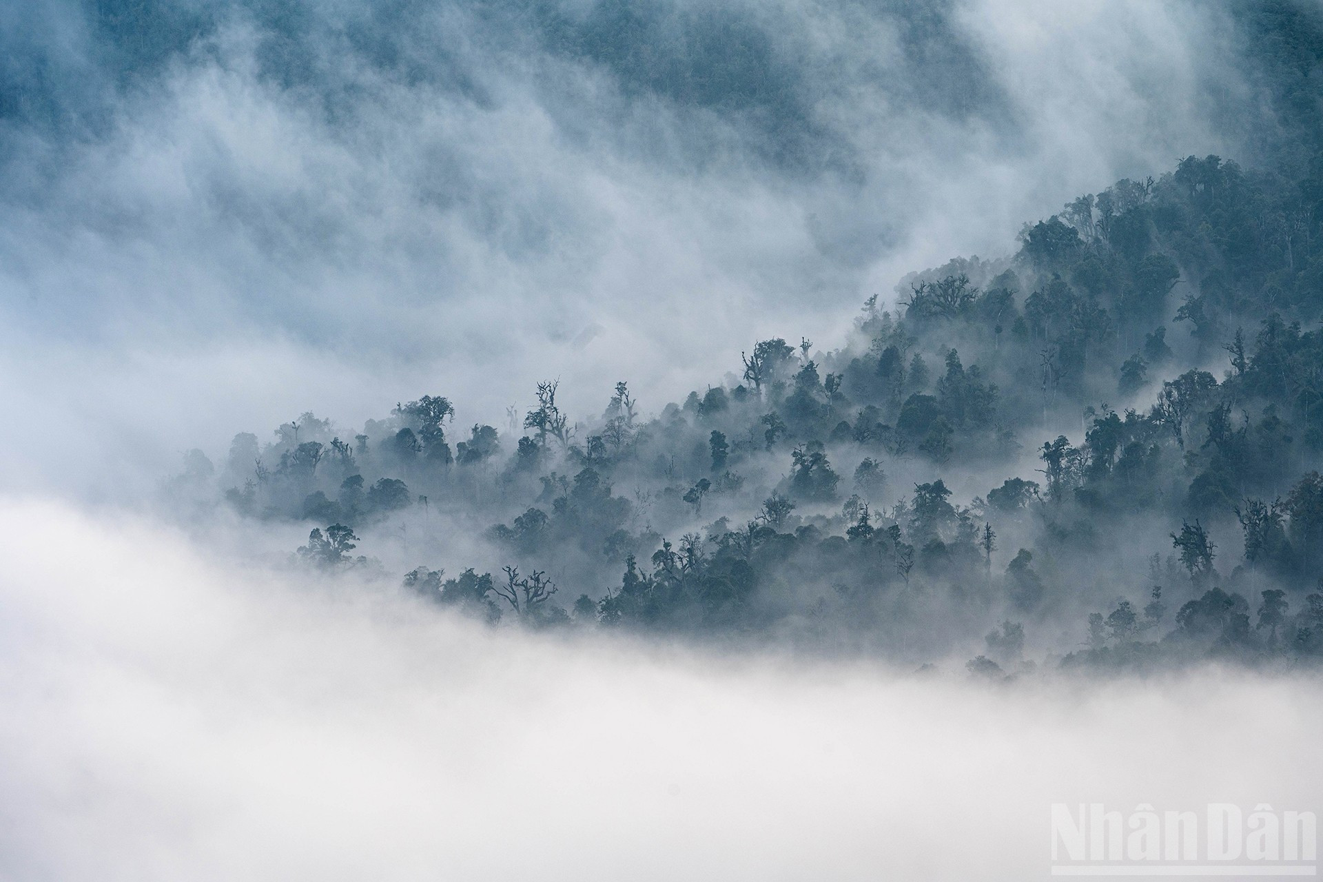 伊子的神秘云海【组图】 ảnh 4