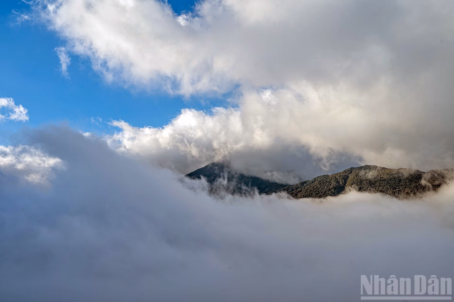 伊子的神秘云海【组图】 ảnh 15