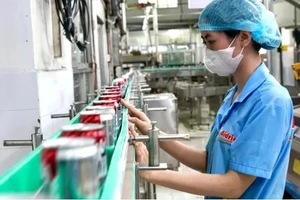 胡志明市新光明贸易有限公司（Bidrico）生产链。